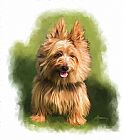 Michael Greenaway Brown Cairn Westie portrait