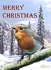 Michael Greenaway Christmas Card Red Robin