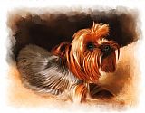 Michael Greenaway Cute Pet Dog Portrait