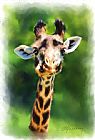 Michael Greenaway Funny Giraffe