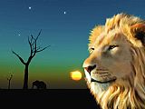 Michael Greenaway Lion Blue Sunset
