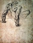Males Prints - W 63r Study of a Male Nude Leaning Back on His Hands by Michelangelo Buonarroti