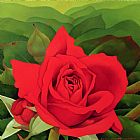 Myung-Bo Sim The Rose