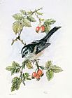 Nell Hill Long Tailed Tit And Rosehips