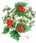 Nell Hill Mistletoe And Holly Wreath