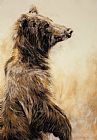 Pretty Boy - Grizzly Bear Prints - Grizzly Bear 2 by Odile Kidd