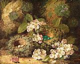 Oliver Clare Primroses and Bird's Nests on a Mossy Bank