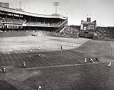 Others New York: Polo Grounds