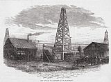 Swine, 19th Century Paintings - OIL WELL, 19th CENTURY by Others