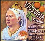 Others CRATE LABEL, 20th CENTURY