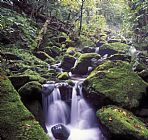 Others Ussuri Territory