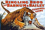Circus Paintings - American Circus Poster by Others