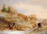 Others Fox and Pheasants in Winter