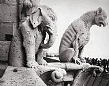 Others Notre Dame: Gargoyles