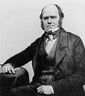 Others Portrait Of Charles Darwin