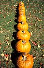 Others Pumpkins In A Row