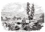 1848 Prints - Sutters Mill, 1848 by Others