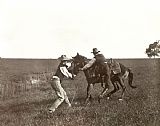 Cowboys Prints - TEXAS: COWBOYS, c1908 by Others