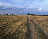 Others Volga's Flood Lands