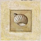 Shell Prints - Bonnet Shell by Pablo Esteban