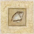 Shell Prints - Conch Shell by Pablo Esteban