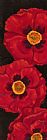 Paul Brent Bella Grande Poppies
