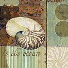 Shell Prints - Contemporary Shell II by Paul Brent