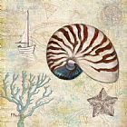 Shell Prints - Discovery Shell I by Paul Brent