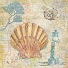 Shell Prints - Discovery Shell II by Paul Brent