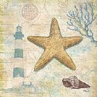 Shell Prints - Discovery Shell III by Paul Brent