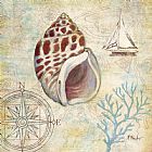 Shell Prints - Discovery Shell Iv by Paul Brent