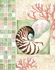 Shell Prints - Mosaic Shell Collage I by Paul Brent