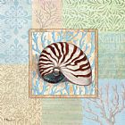 Shell Prints - Oceanic Shell Collage III by Paul Brent