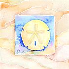 Paul Brent Sand Dollar