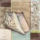 Shell Prints - Santa Rosa Shell I by Paul Brent