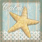 Shell Prints - Spa Shells Iv by Paul Brent