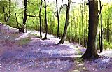 Bluebell wood by Paul Dene Marlor