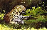 Paul Dene Marlor African Leopard
