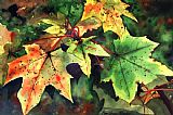 Sycamore Leaves by Paul Dene Marlor