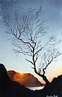 Paul Dene Marlor Tree above Crummock water
