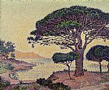 Paul Signac Prints - Umbrella Pines at Caroubiers by Paul Signac