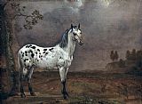 Paulus Potter The Piebald Horse