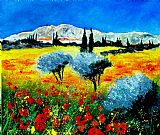Pol Ledent Provence