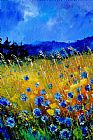 Pol Ledent Blue cornflowers