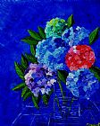Pol Ledent Hydrangeas 56