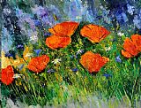 Pol Ledent Poppies 79
