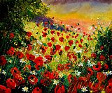 Pol Ledent Red poppies