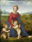 Newburyport Meadows Prints - Madonna in the Meadow by Raphael