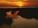 Raymond Gehman Sunset Over a Salt Marsh with Cordgrass