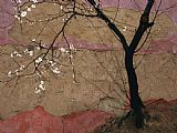 Raymond Gehman A Flowering Plum Tree Against a Wall Near painting